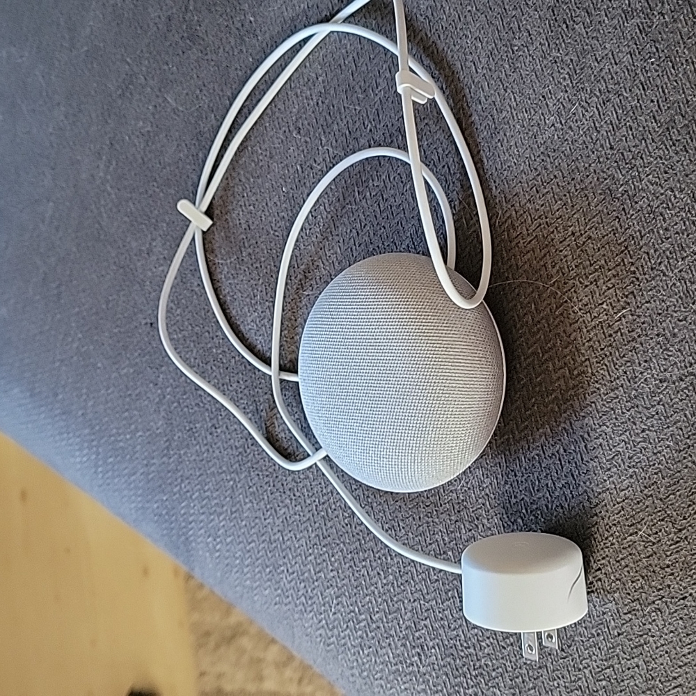 Google Nest Mini